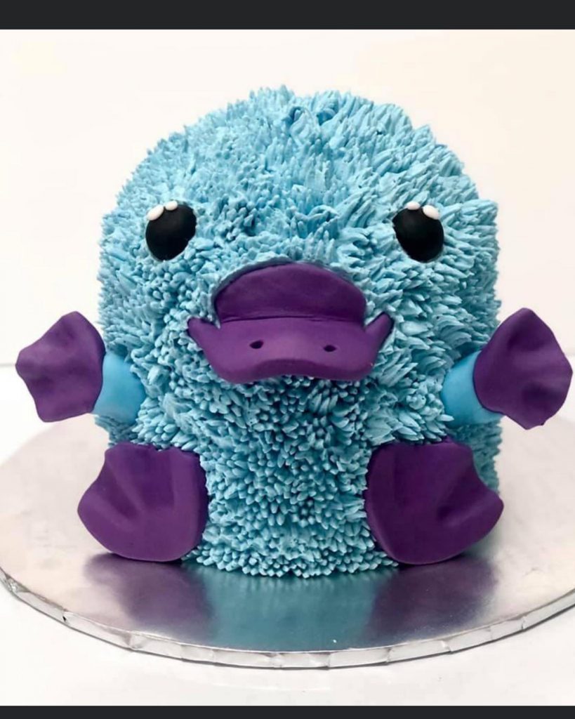 Platypus Themed Cake