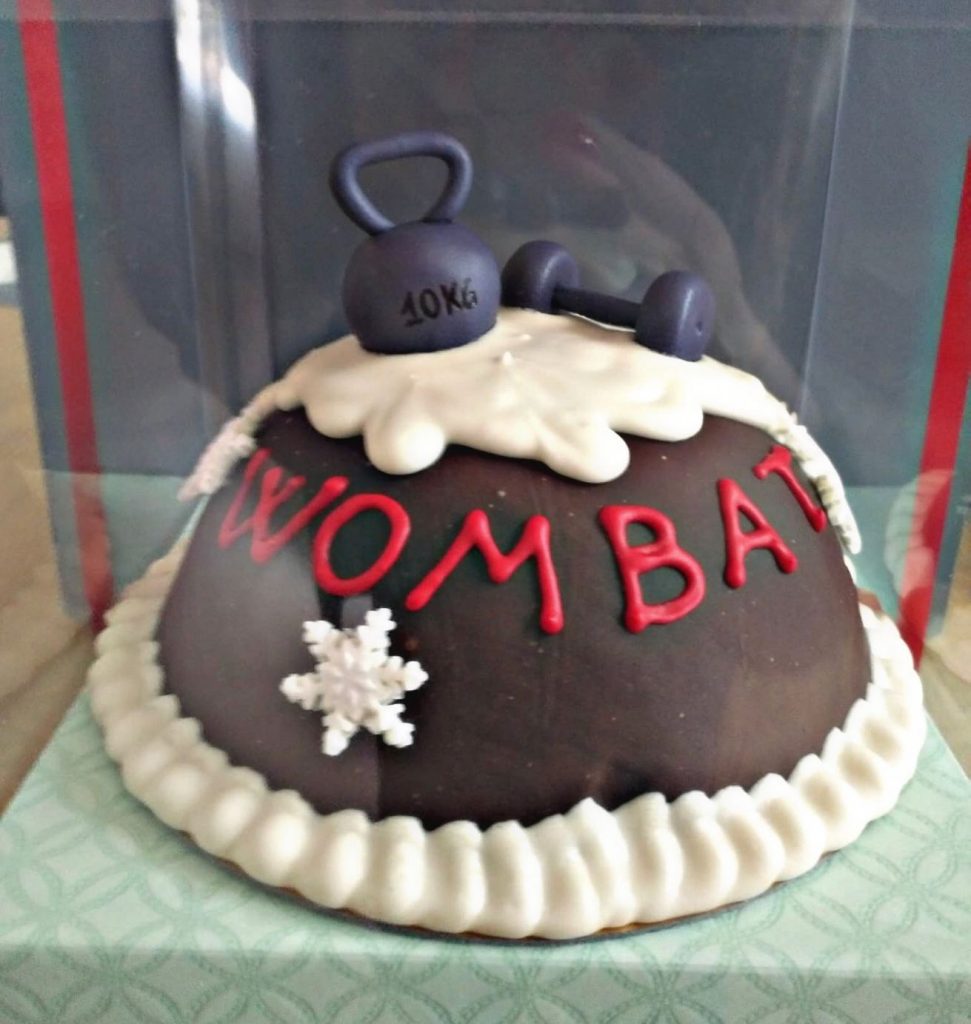 Wombat Birthday Cakes