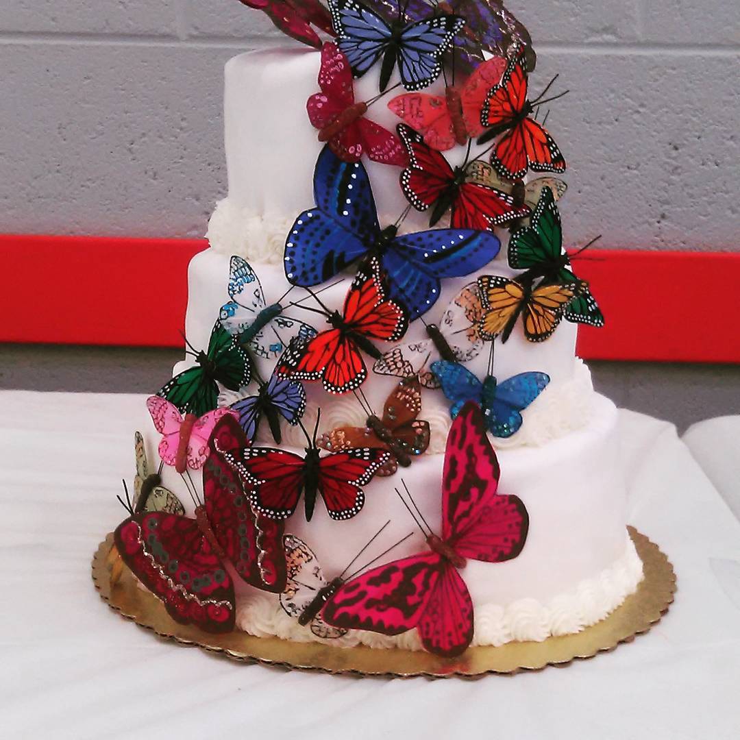 [Updated] 12 Butterfly Cake Designs Ideas for Birthdays in 2024