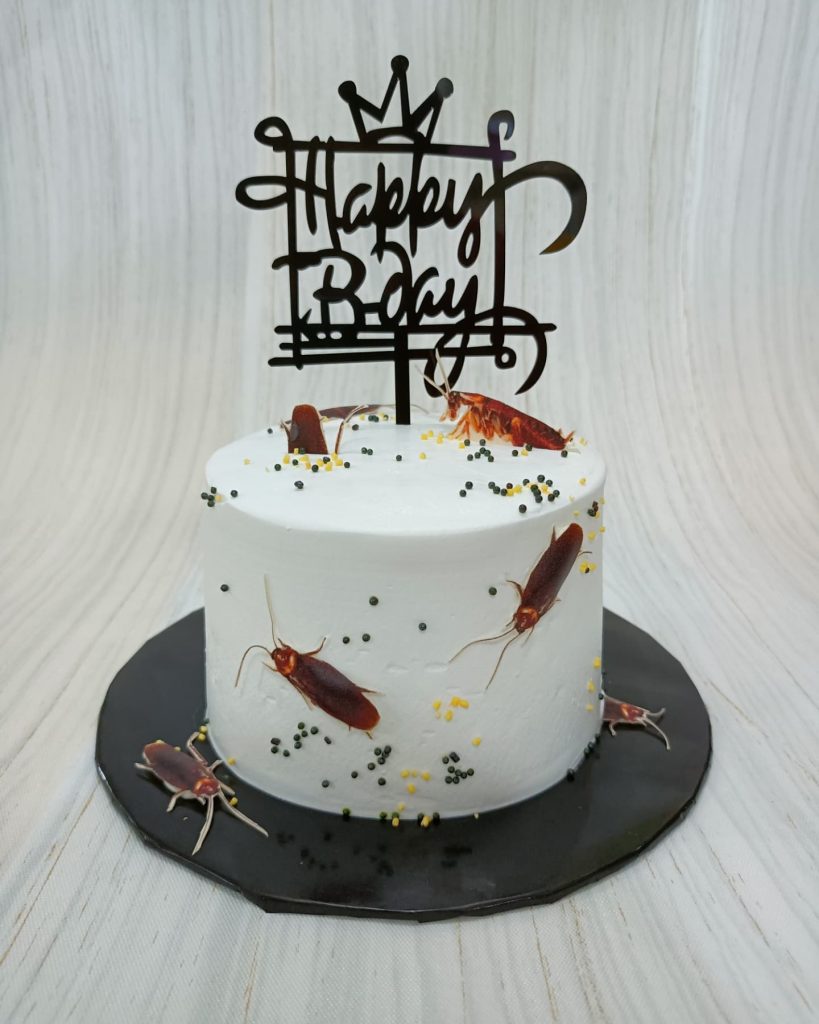 Cockroach Birthday Cake 2