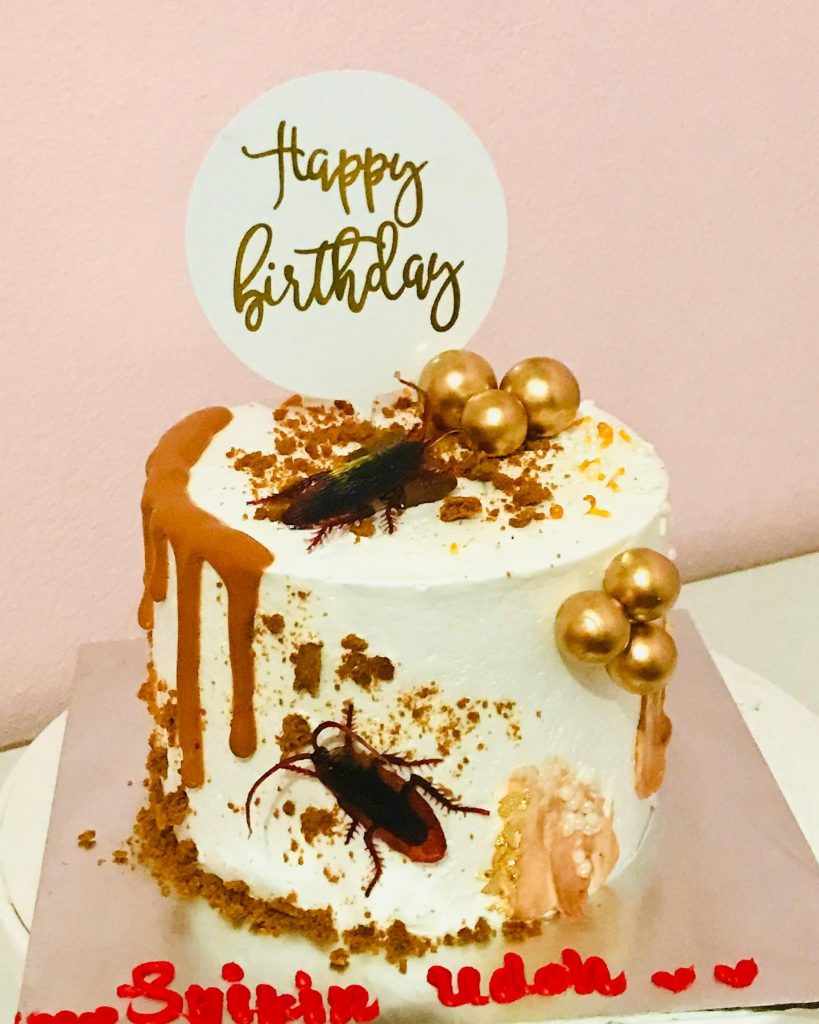 Cockroach Theme Cake 2