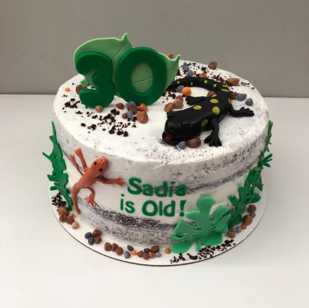Easy Lizard Birthday Cakes