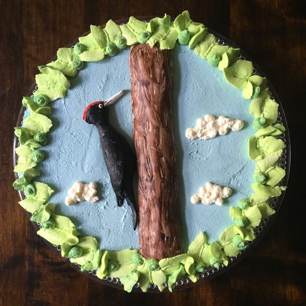 Realistic Woodpecker Cake Designs2