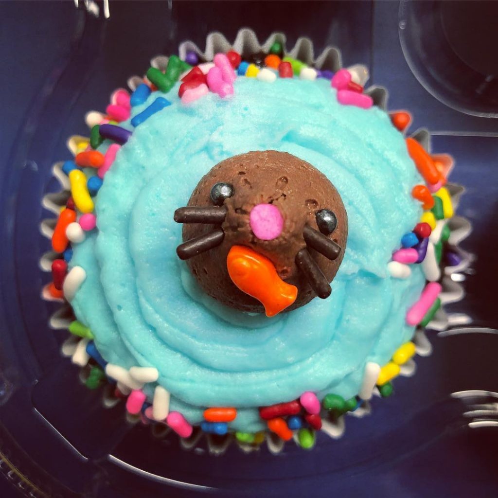 Sea lion Cupcakes 2 1