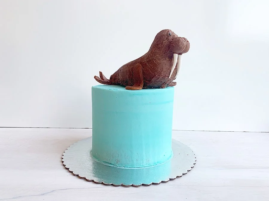 Walrus Themed Fondant Cake Designs1