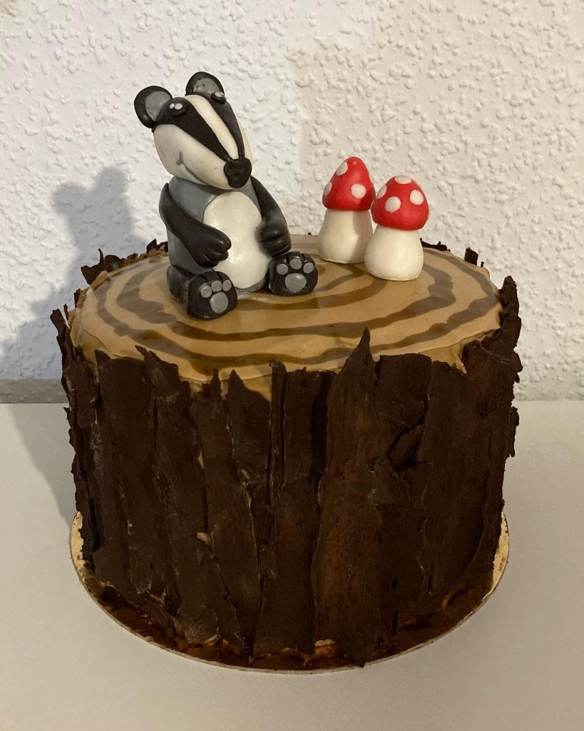 How to Make a badger Cake 2