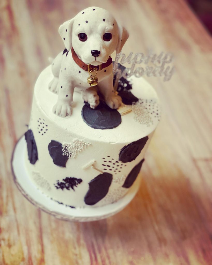 dalmatian puppy cakes