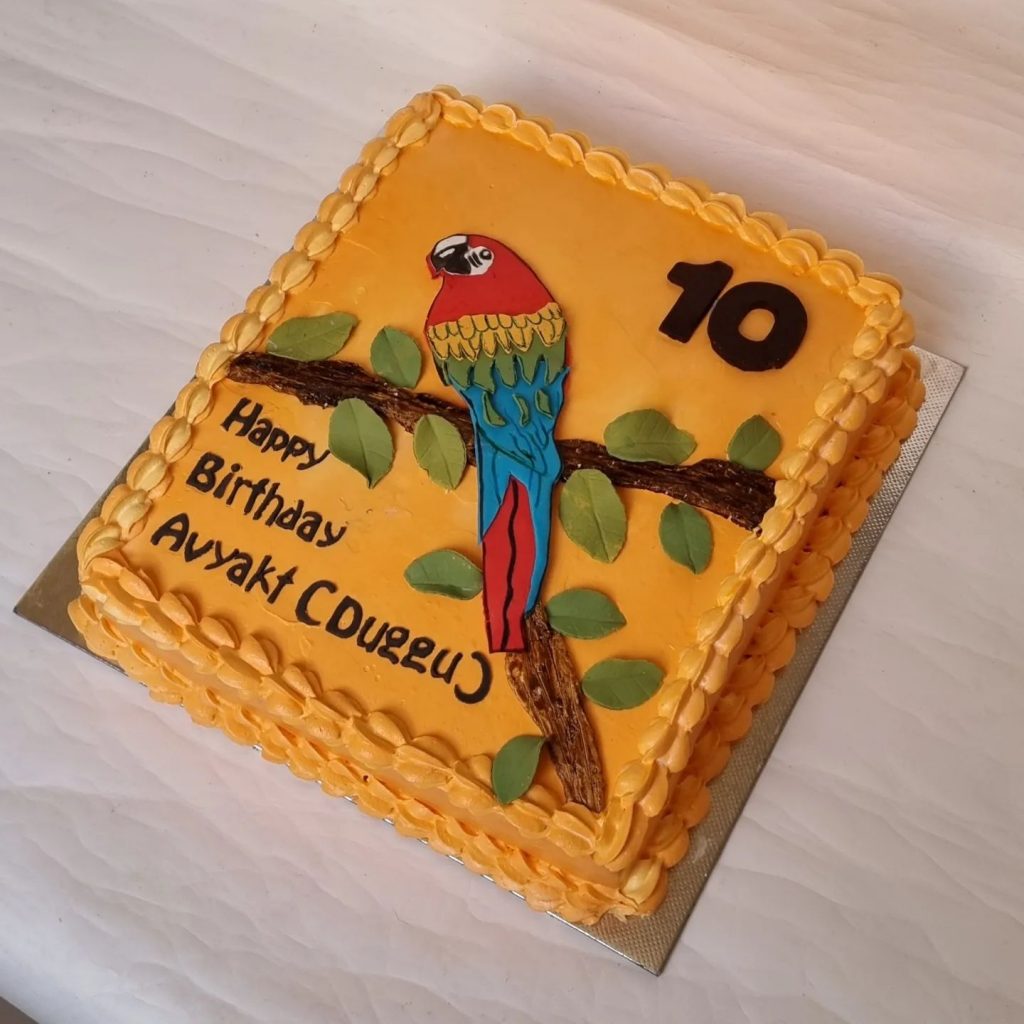 Parrot Birthday Cakes 2