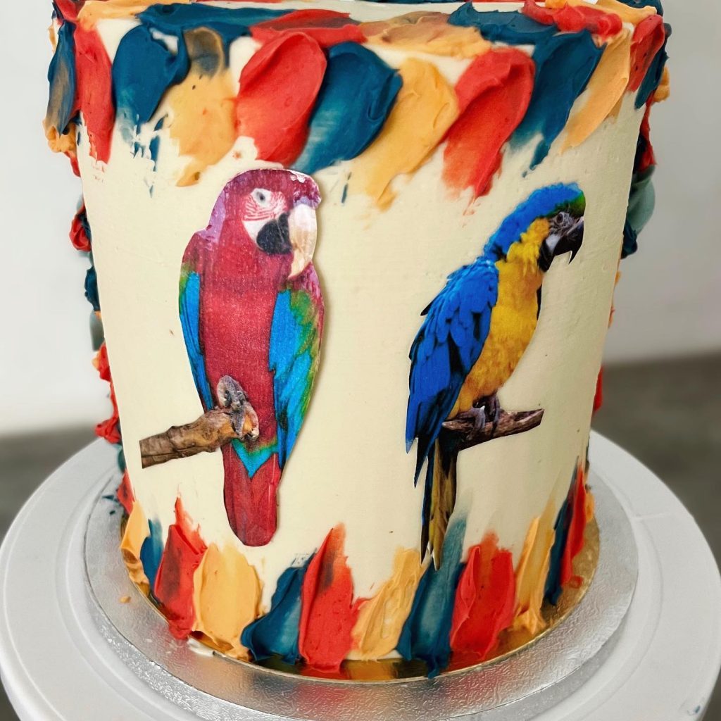 printed Parrot Cakes