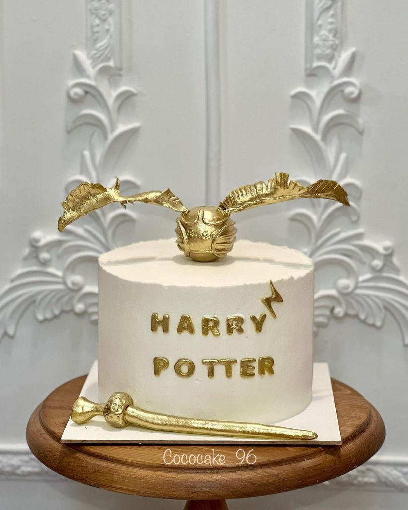 Harry Potter Cake Designs Easy 2