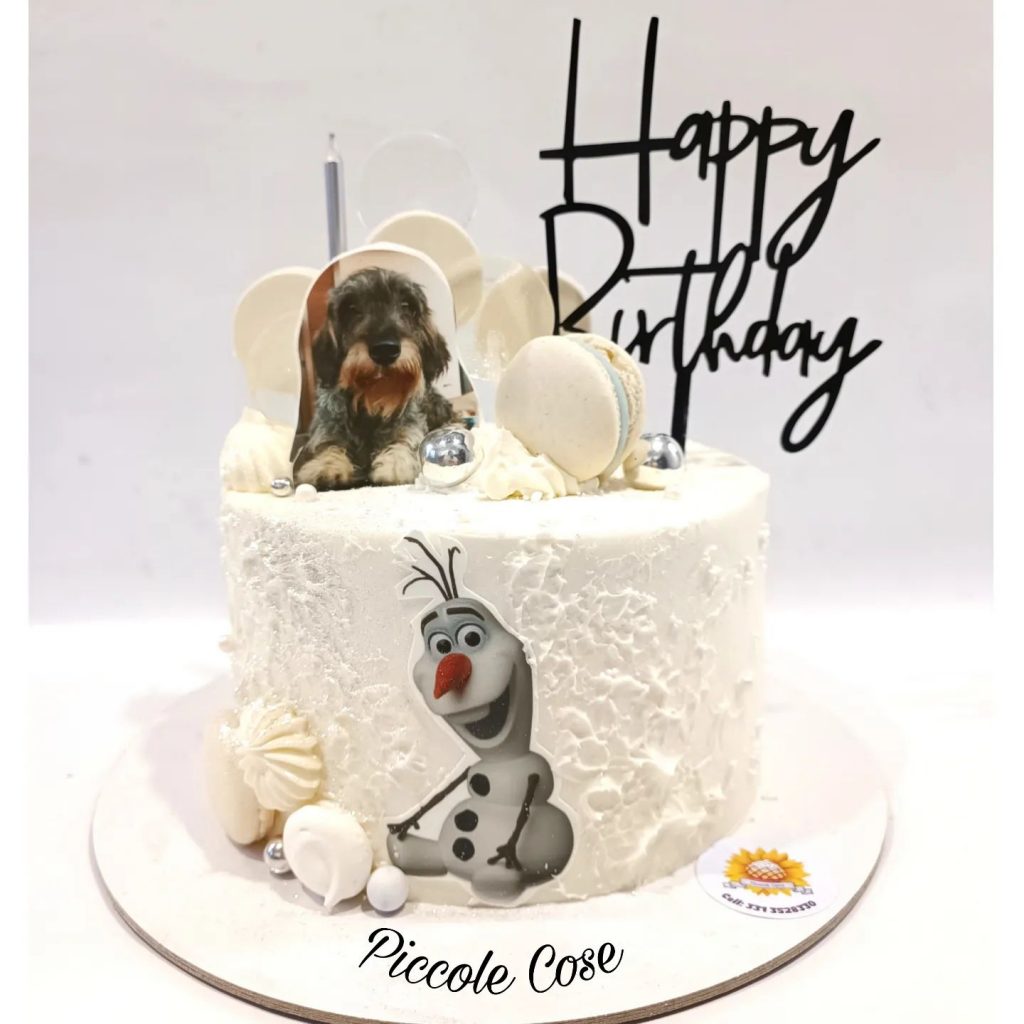 Olaf Birthday Cake Designs 2