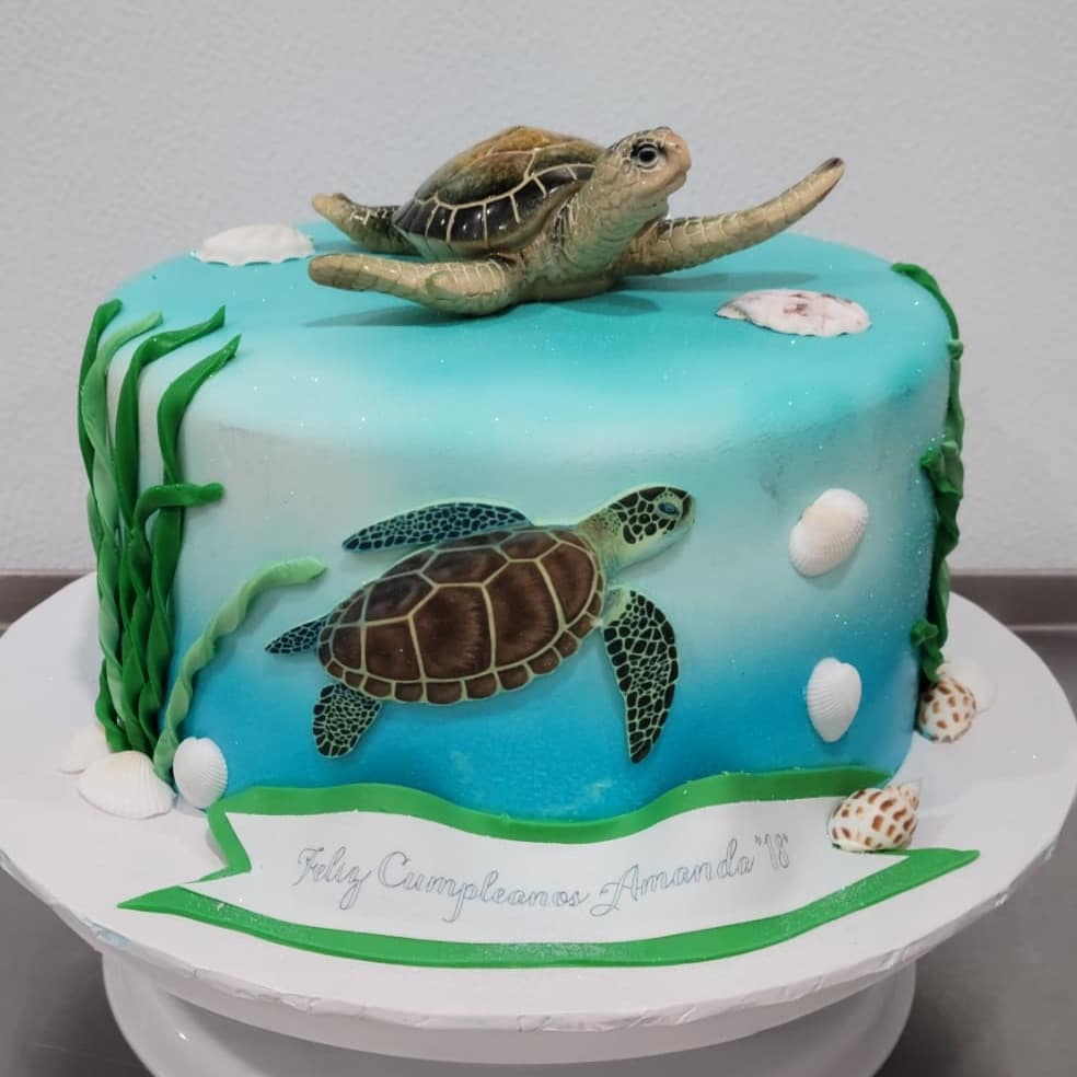 DIY Turtle Cake 2