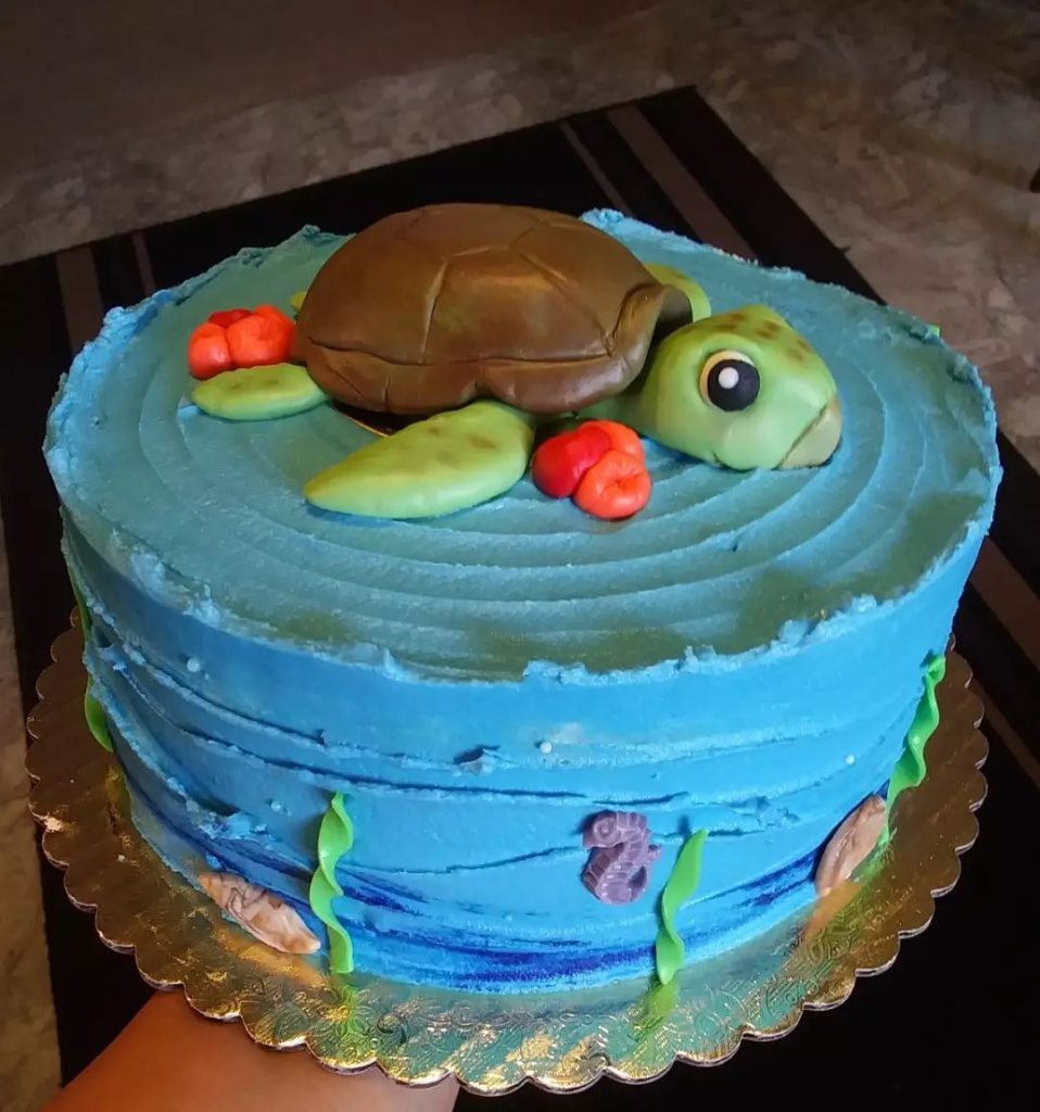 DIY Turtle Cake