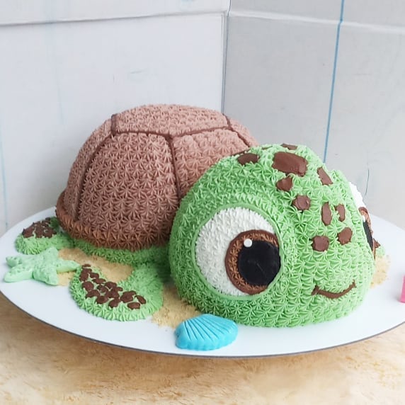 Turtle Cake Designs 2