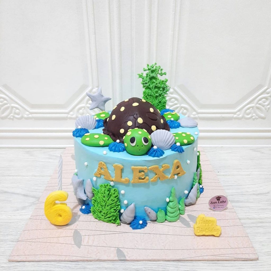 Turtle Cake Designs for Birthday 2