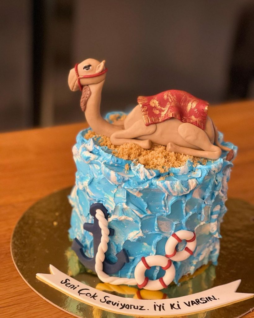 Camel Themed Cakes