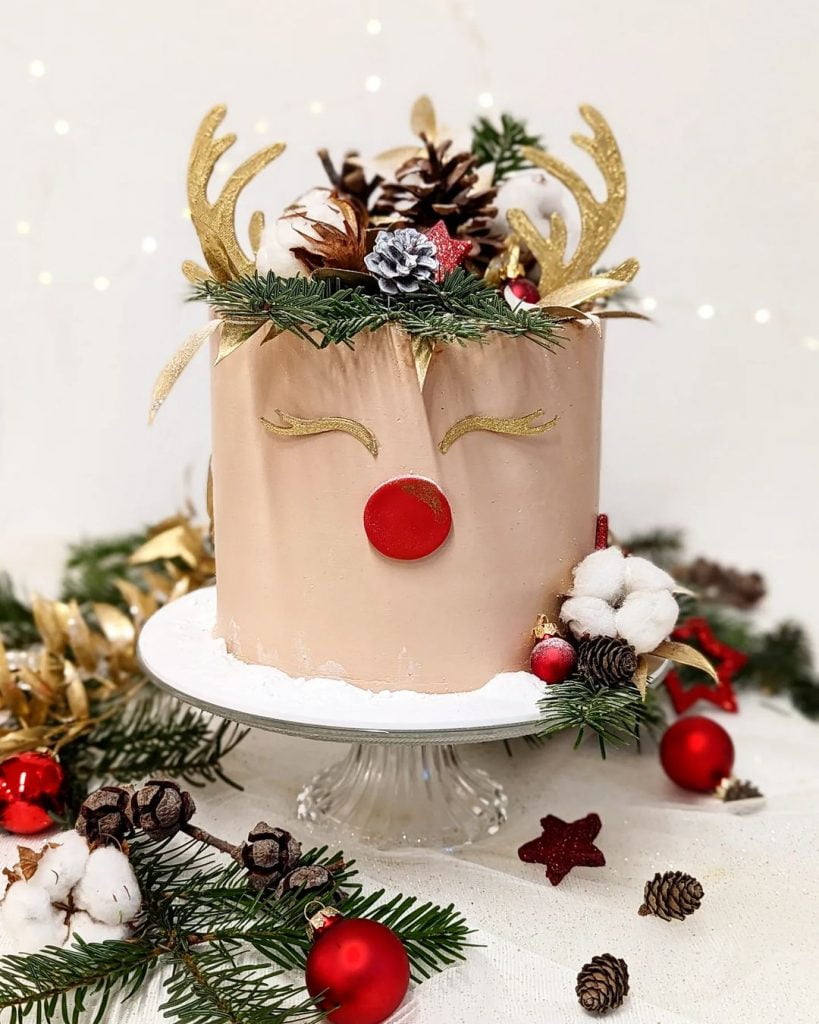 Reindeer Christmas Cake Ideas
